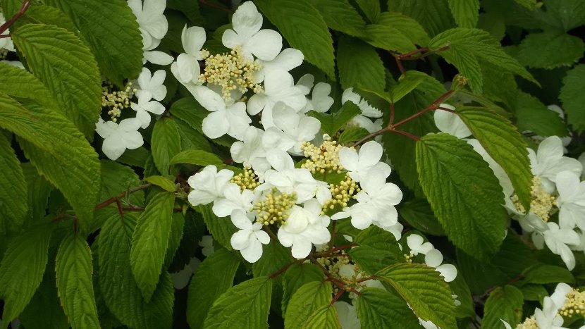 DSCF2697