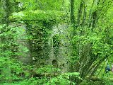 DSCF2673.jpg