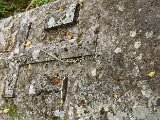 DSCF2675.jpg