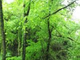 DSCF2680.jpg