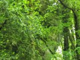 DSCF2681.jpg