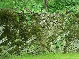 DSCF2702.jpg