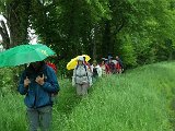 DSCF2709.jpg