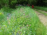 DSCF2712.jpg