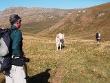 DSCF3061.jpg