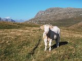 DSCF3062.jpg