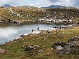 DSCF3077.jpg