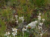 DSCF3080.jpg