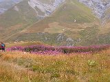 DSCF3084.jpg