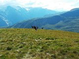 DSCF3137.jpg