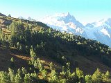 DSCF3146.jpg