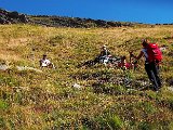 DSCF3152.jpg
