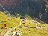 DSCF3153.jpg