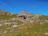 DSCF3155.jpg
