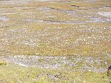 DSCF3158.jpg