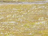 DSCF3159.jpg