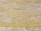 DSCF3160.jpg