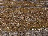 DSCF3161.jpg