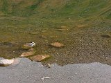 DSCF3171.jpg