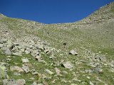 IMG_0460.JPG