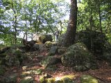 IMG_0376.JPG