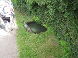 IMG_0379.JPG