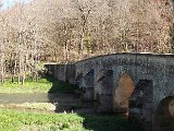 DSCF2611.jpg