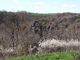 DSCF2630.jpg