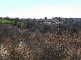 DSCF2631.jpg