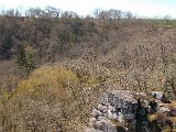 DSCF2639.jpg