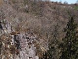 DSCF2640.jpg