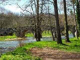 DSCF2648.jpg
