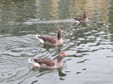 IMG_0056.JPG