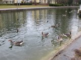 IMG_0062.JPG