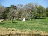 IMG_0517.JPG