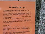 IMG_0536.JPG