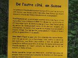 IMG_0537.JPG