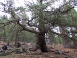 IMG_0657.JPG