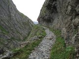 IMG_0552.JPG