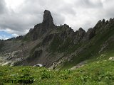 IMG_0564.JPG