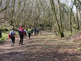IMG_0210.JPG