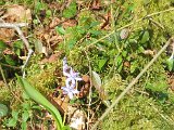 IMG_0211.JPG