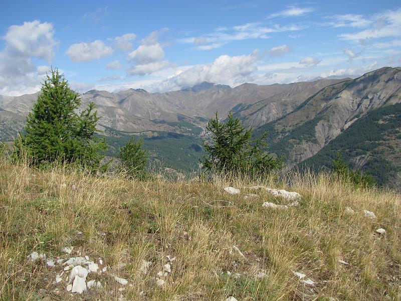 IMG_0737.JPG