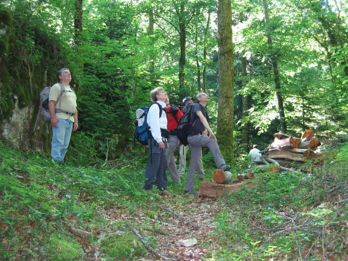 2009-06-13_rando_Jura_2-jours__033_5.JPG