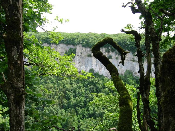 2009-06-14_rando_Jura_2-jours_125_7.JPG